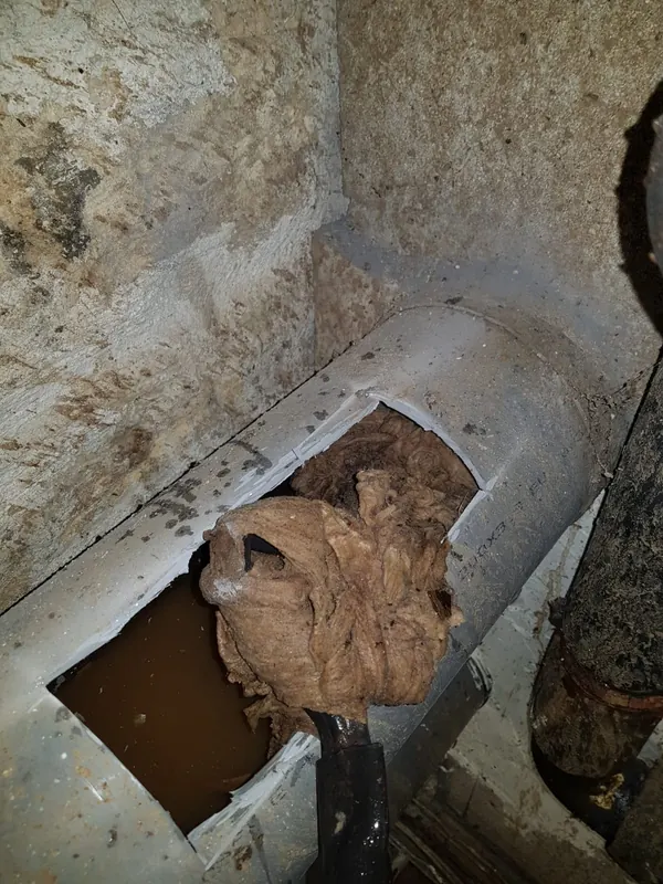 Bouchon de lingettes accroché au furet dans un collecteur en PVC ouvert